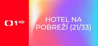 Hotel na pobreží (21/33)