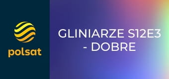 Gliniarze S12E3 - Dobre intencje