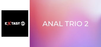 Anal Trio 2
