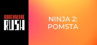 Ninja 2: Pomsta
