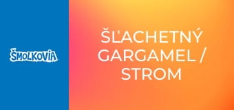 Šľachetný Gargamel / Strom Na Peniaze