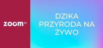 Dzika przyroda na żywo S1E3