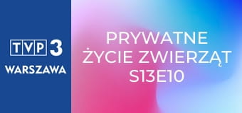 Prywatne życie zwierząt S13E10 - Woda