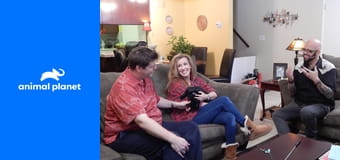 Má pekelná kočka S5E1 - Noční můra parašutisty Má pekelná kočka S5E1 - Noční můra parašutisty