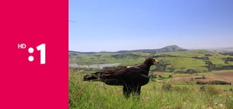 60 zabijakov divočiny E5 - Južná Afrika