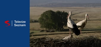 Kalendář přírody E8 - Srpen