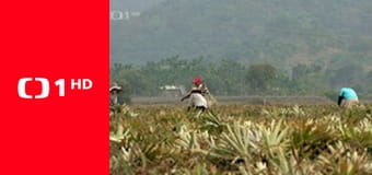 Na cestě - po jižním Tchaj-wanu