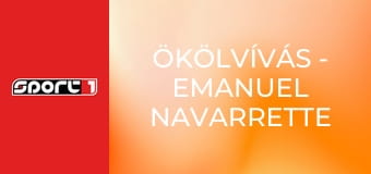 Ökölvívás - Emanuel Navarrette - Denis Berincsik