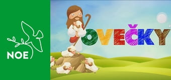 Ovečky - 2. neděle adventní