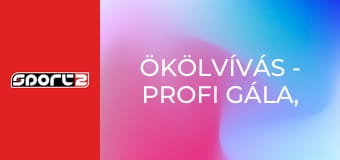 Ökölvívás - Profi gála, Budapest, ism., HD