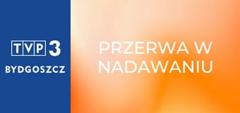 Przerwa w nadawaniu