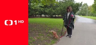 13. komnata Uršuly Klukovej