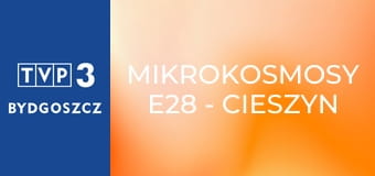 Mikrokosmosy E28 - Cieszyn