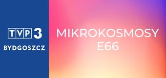 Mikrokosmosy E66