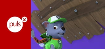 Psi patrol S9E913 - Kosmopieski powstrzymują wielkiego węgorza / Psia Misja: Pieski ratują królewską karetę