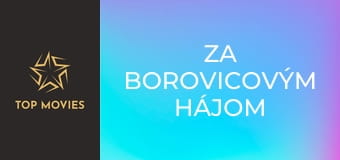 Za borovicovým hájom