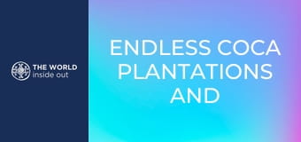 Végtelen kokacserje-ültetvények és nyárson sült tengerimalac. Bolívia.