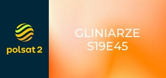 Gliniarze S19E45