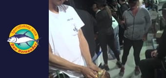 Freelance - Twilight