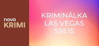 Kriminálka Las Vegas S9E15 - Zab mě, když to dokážeš