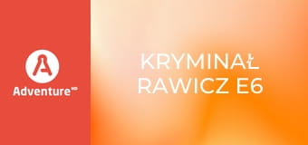 Kryminał Rawicz E6