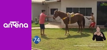 77 TV S2E12 - Przypadki rolnicze i wiejskie