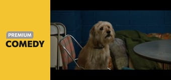 Hlásateľ správ 2: Legenda pokračuje