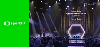 Běžecké lyžování: SP mužů: Lake Placid