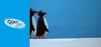 Pingu Sezon 2 Odcinek 16