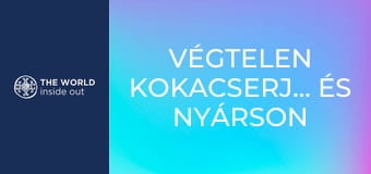 Végtelen kokacserje-ültetvények és nyárson sült tengerimalac. Bolívia.