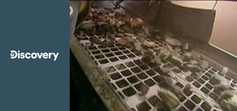 Ako sa to robí V (53)