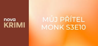 Můj přítel Monk S3E10 - Pan Monk je na falešné stopě