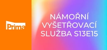 Námořní vyšetřovací služba S13E15 - React tým