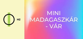 Mini Madagaszkár - Vár a nagyvilág - Pizza galamb