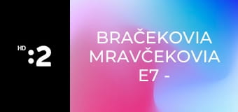 Bračekovia mravčekovia E7 - Na výlete v lete