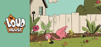 Hlučný dom 4. séria, 9. časť