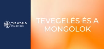Tevegelés és a mongolok titka – hogyan élik túl a hideget? Kína.