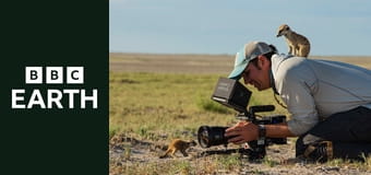 Dynastie S2E5 - Hiena