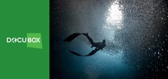 Podwodny świat S5E4