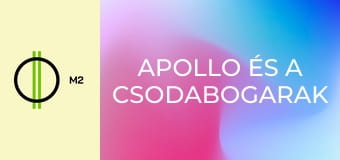 Apollo és a csodabogarak - Éjfél után
