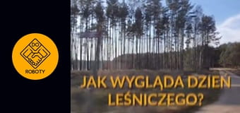 Wycinanie lasów i sadzenie drzew. Co robi leśniczy?