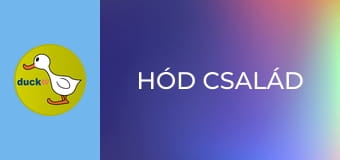 Hód család Hód család
