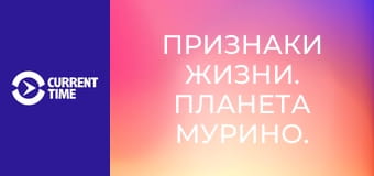 Признаки жизни. Планета Мурино. Молодые люди.