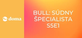 Bull: Súdny špecialista S5E1