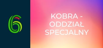 Kobra - oddział specjalny S6E3 - Zanik pamięci