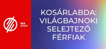 Kosárlabda: világbajnoki selejtező férfiak - Franciaország – Magyarország mérkőzés
