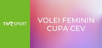 Volei Feminin Cupa CEV
