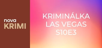 Kriminálka Las Vegas S10E3 - Práce šlechtí