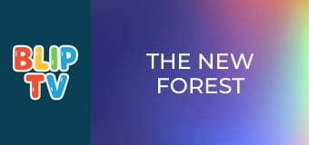 The new forest The new forest