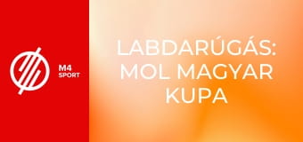 Labdarúgás: MOL Magyar Kupa - ZTE FC – Soroksár SC mérkőzés